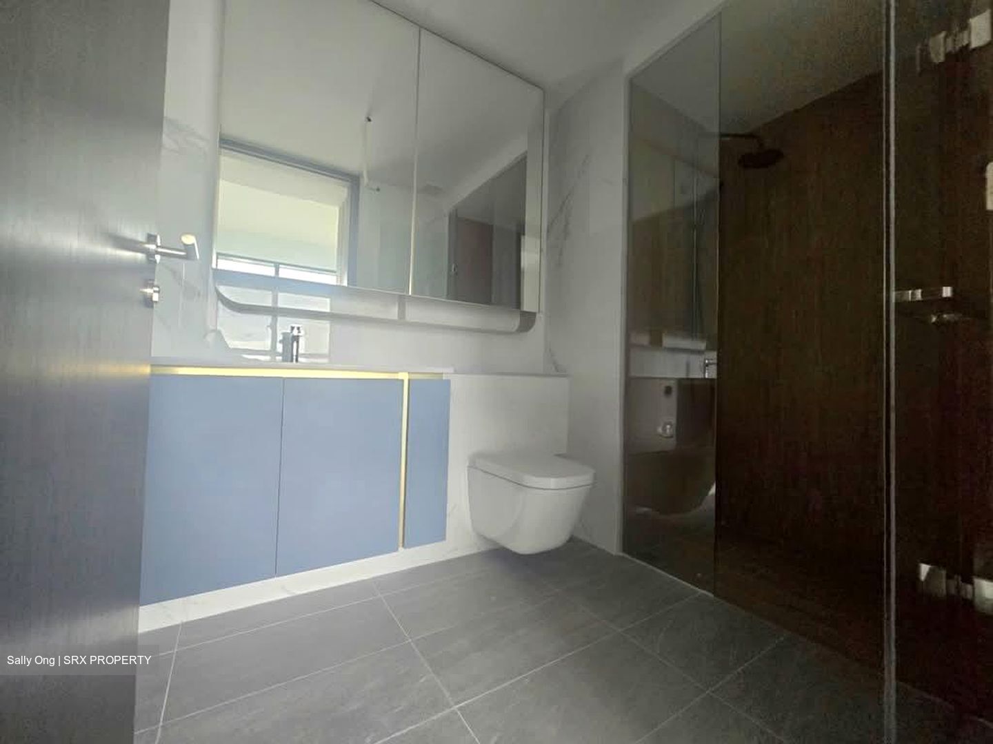 Amo Residence (D20), Apartment #565232391